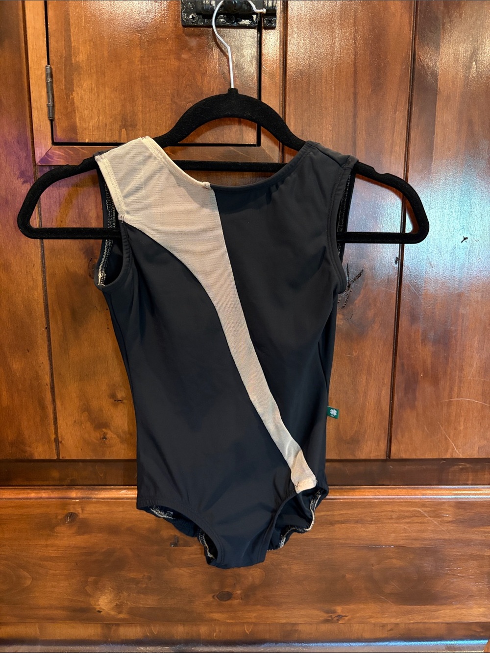🍀 LuckyLeo Black Leotard with Beige Mesh Diagonal Accent